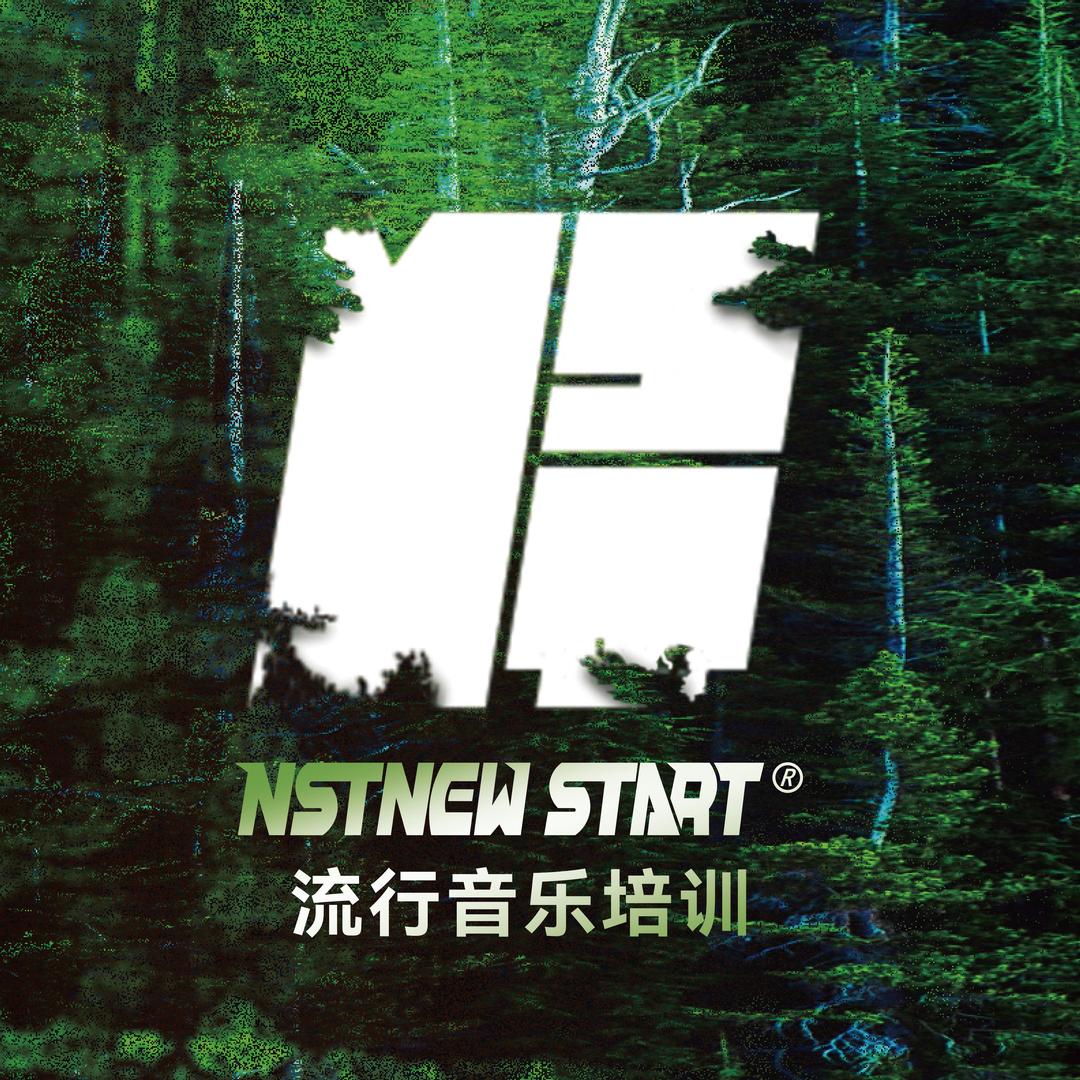 深圳大成教流行【NST流行声乐系统】