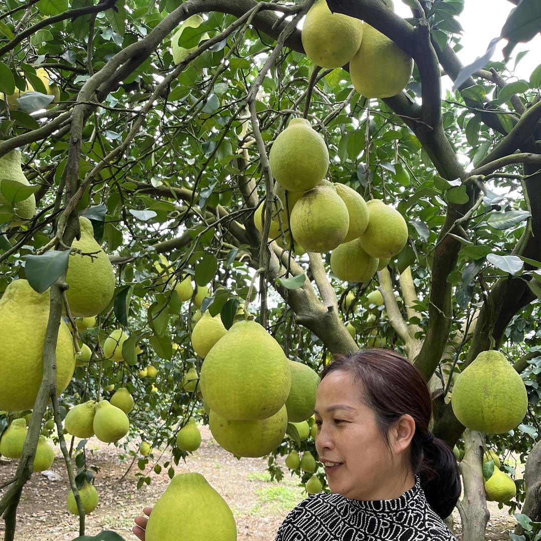 湘村周周特产店