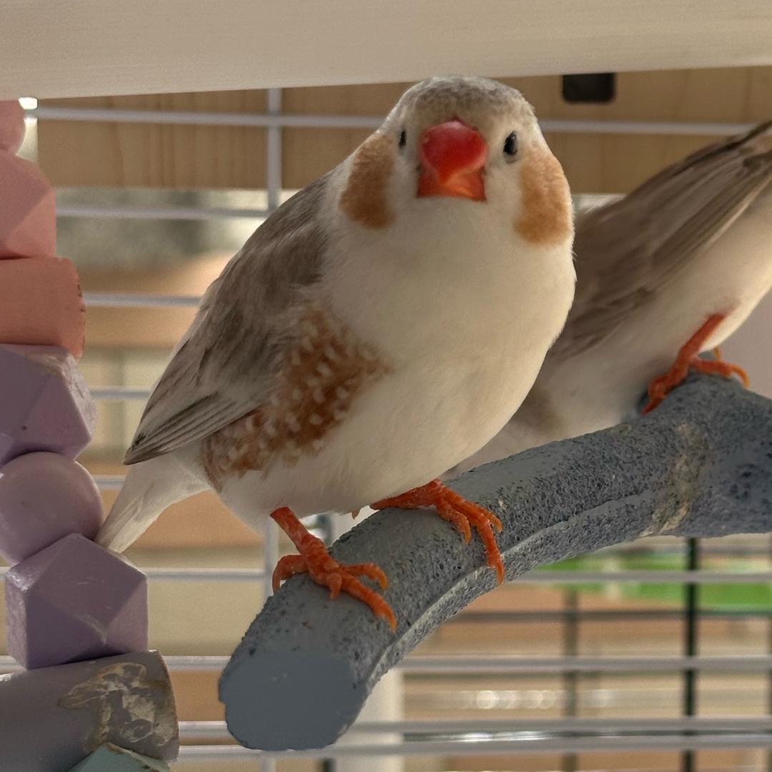 古都享享杂货铺