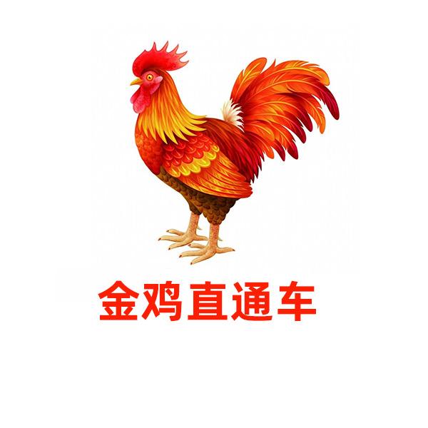 金鸡直通车
