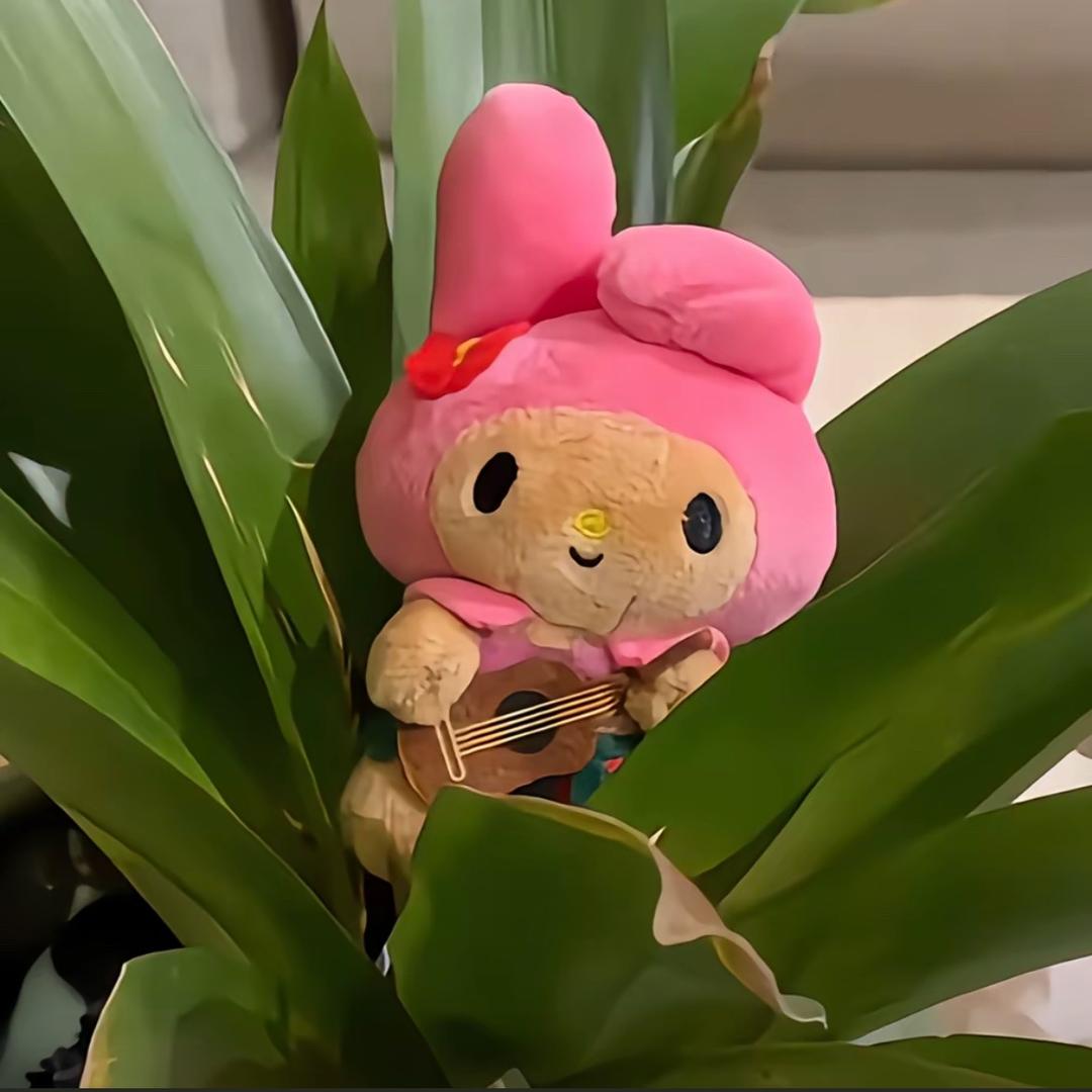 小涵🐰