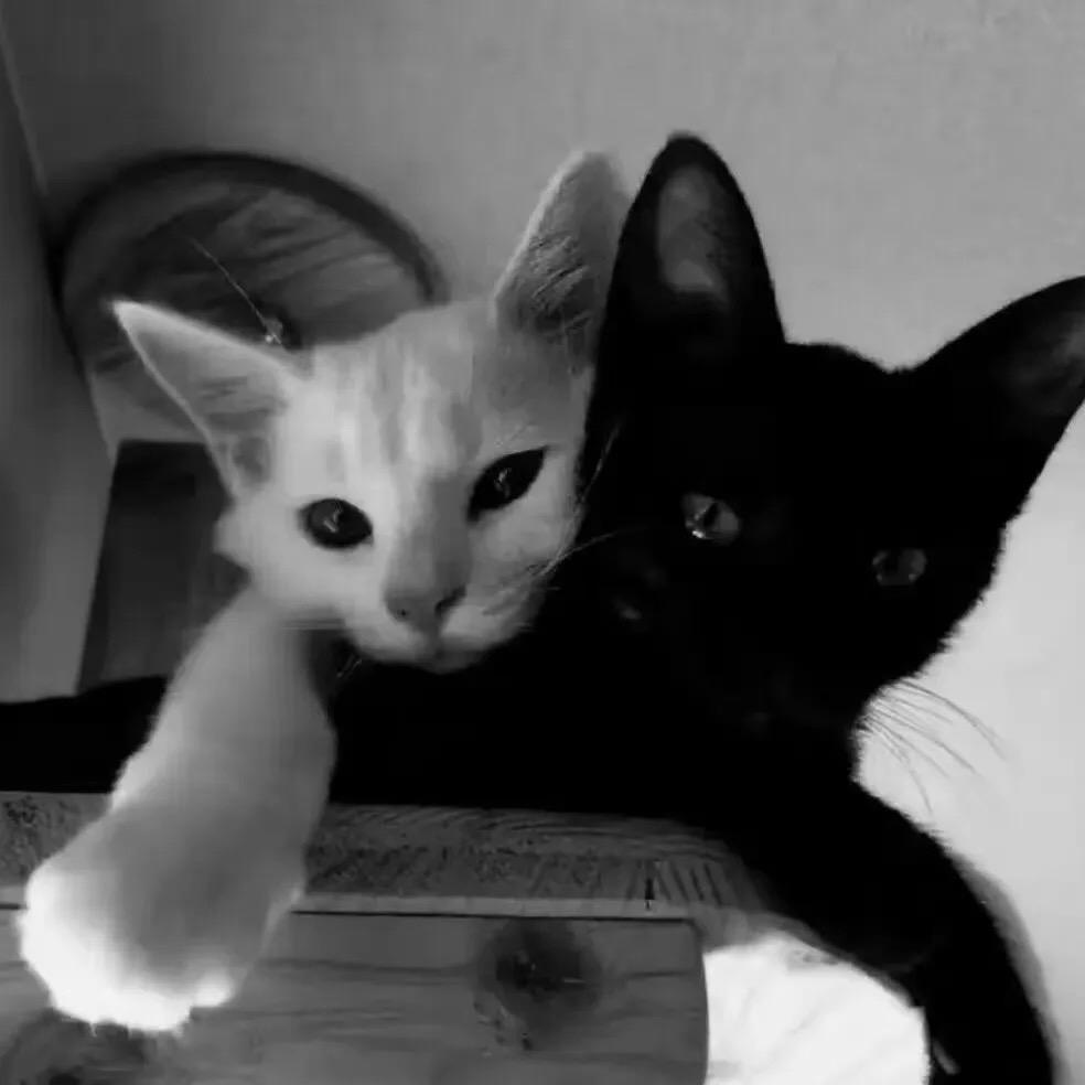 最初的土哥.🪷