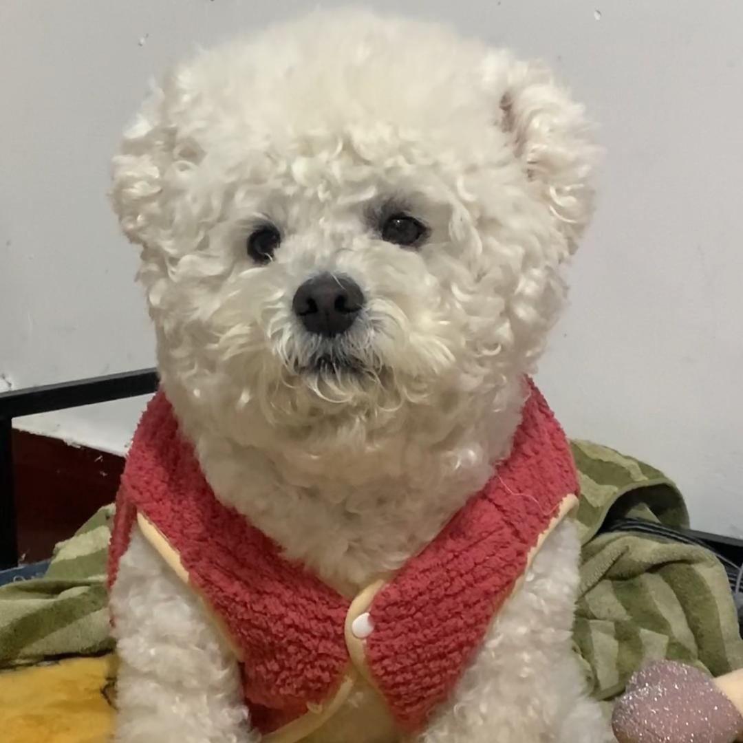 王板的板