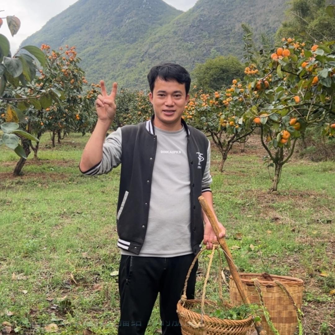 农村田仔（折耳根王子）