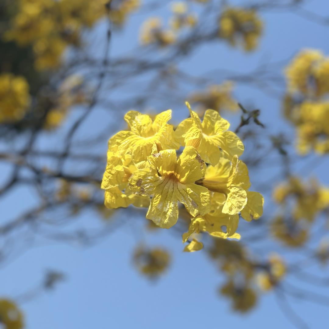驼兹Tuozi男鞋旗舰店