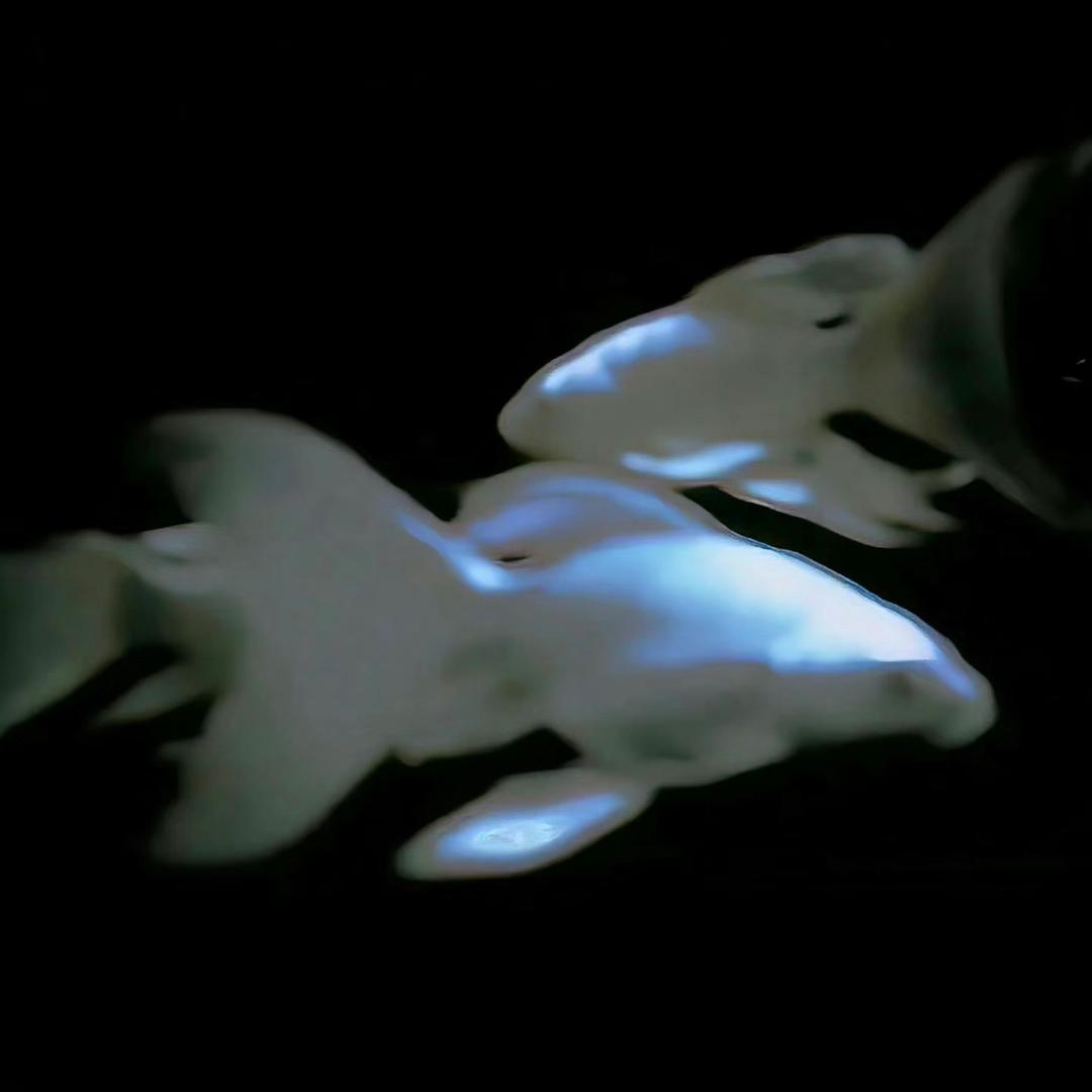 09:09