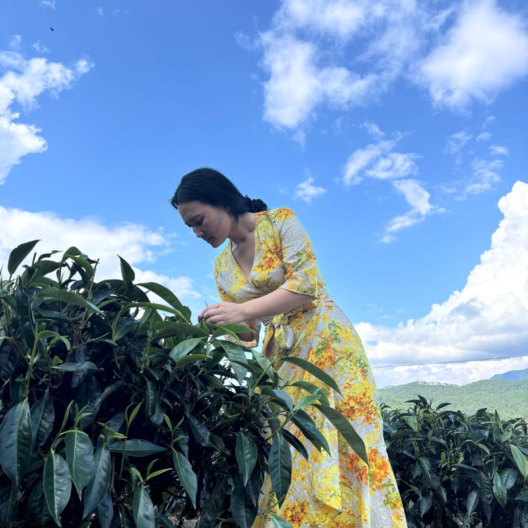 四季好物（所见所得）