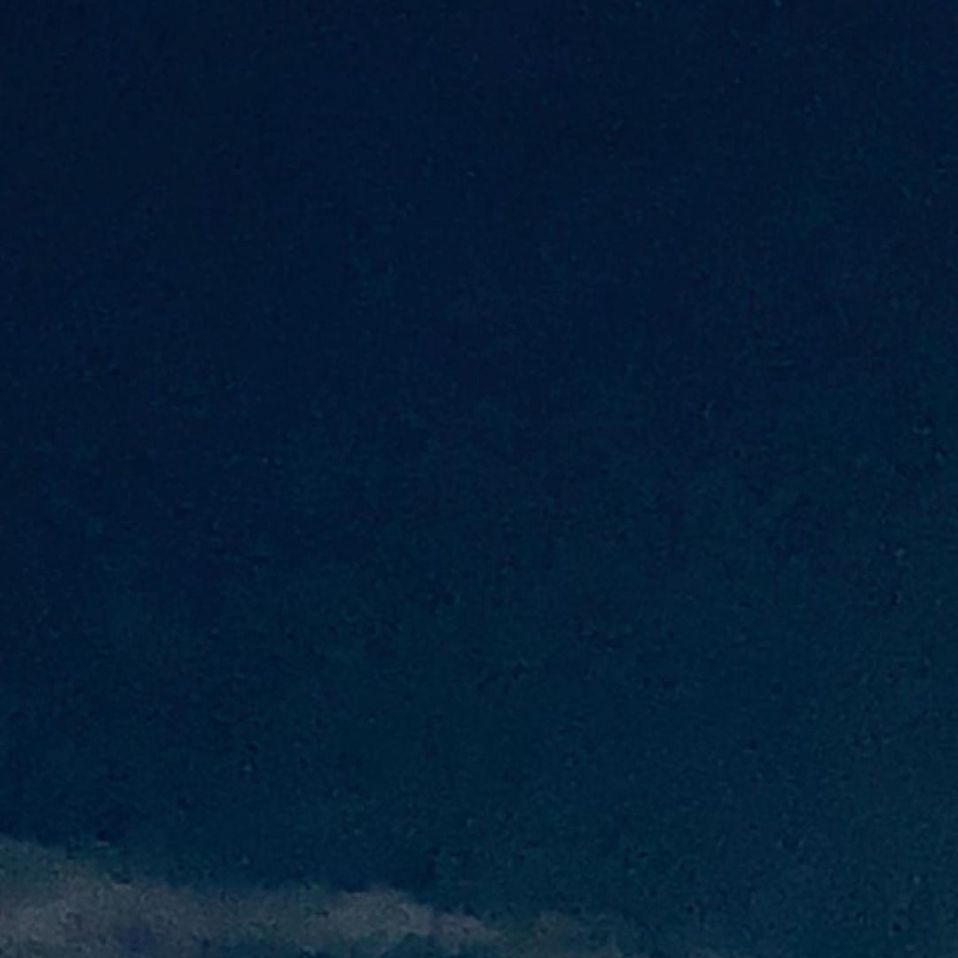 没意思