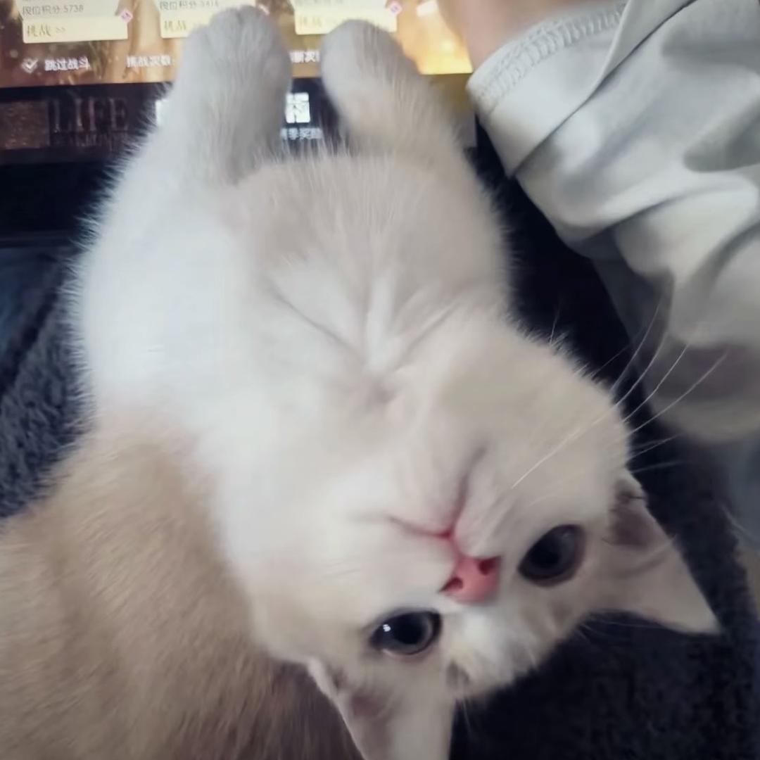 我说了我睡不够