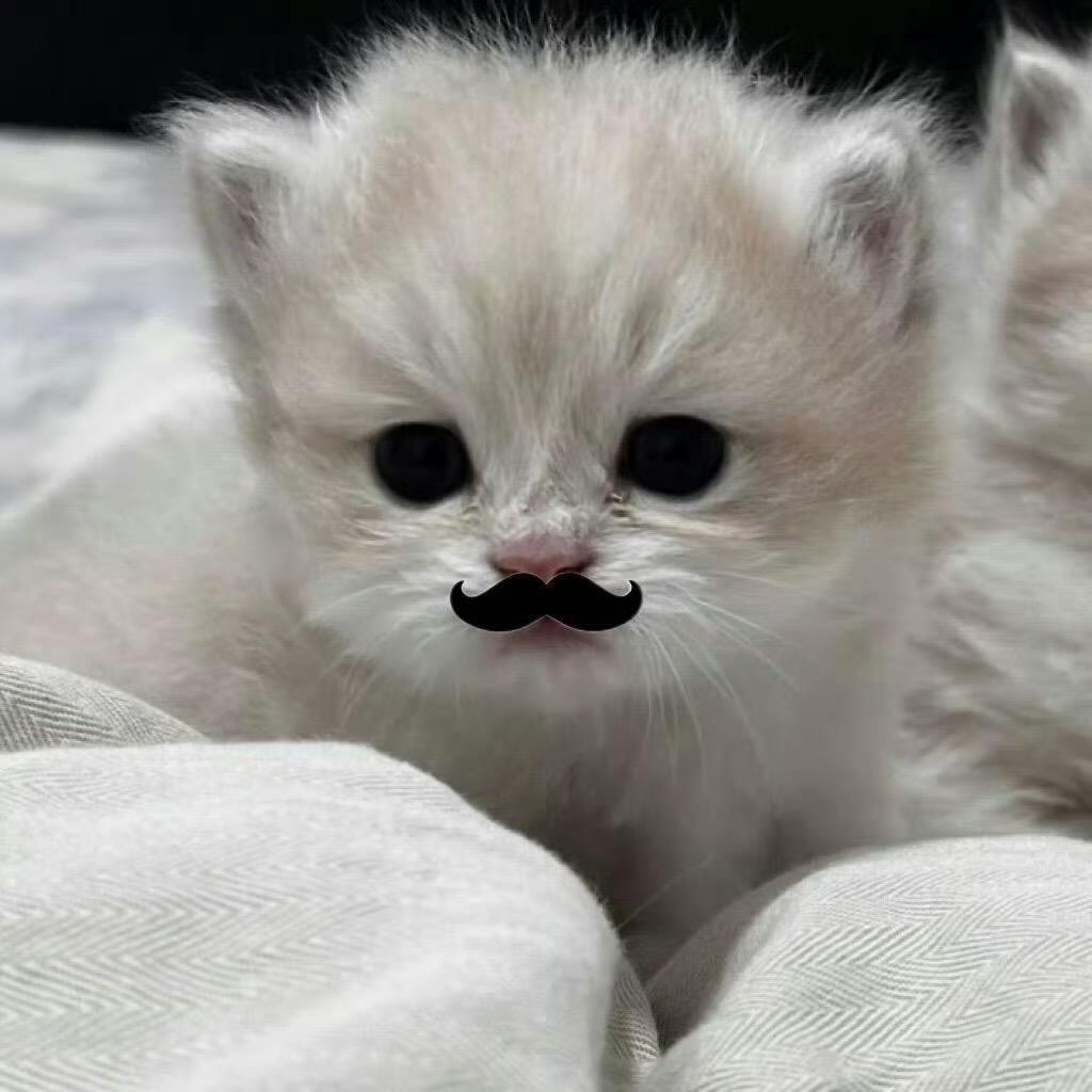 和你没什么好说的