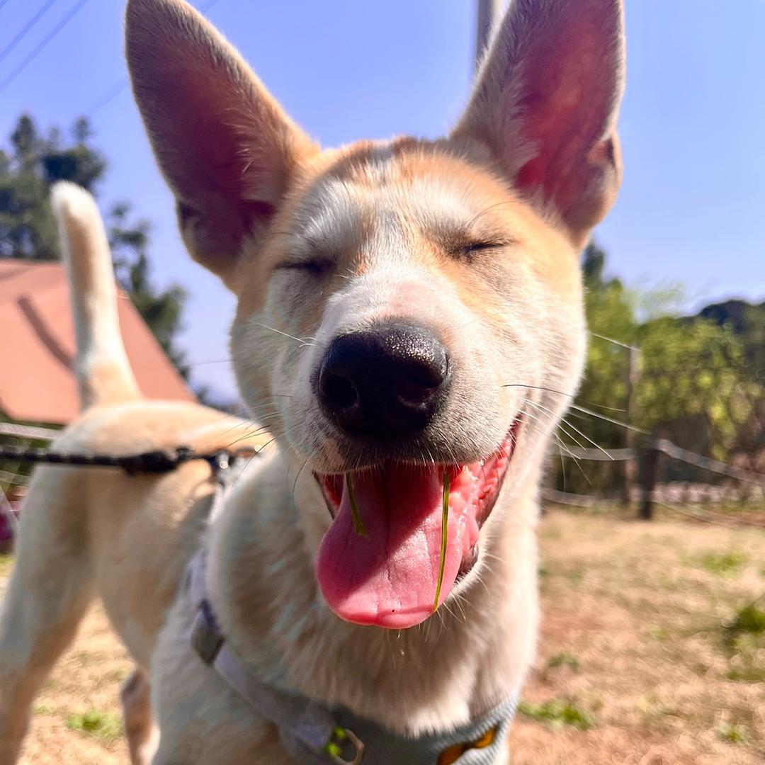 发财吖💰