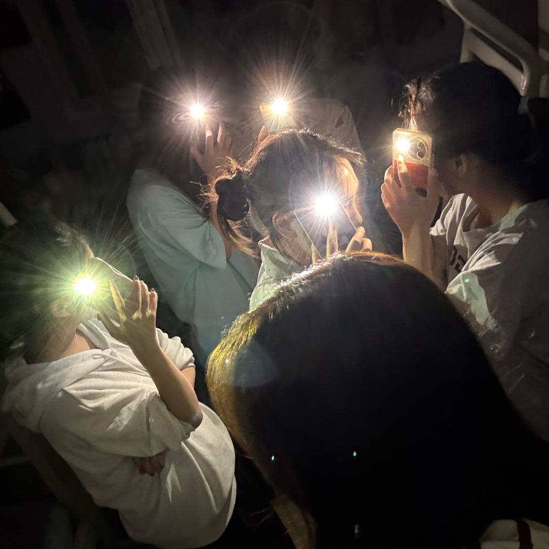 藏在绿匣子里的猫