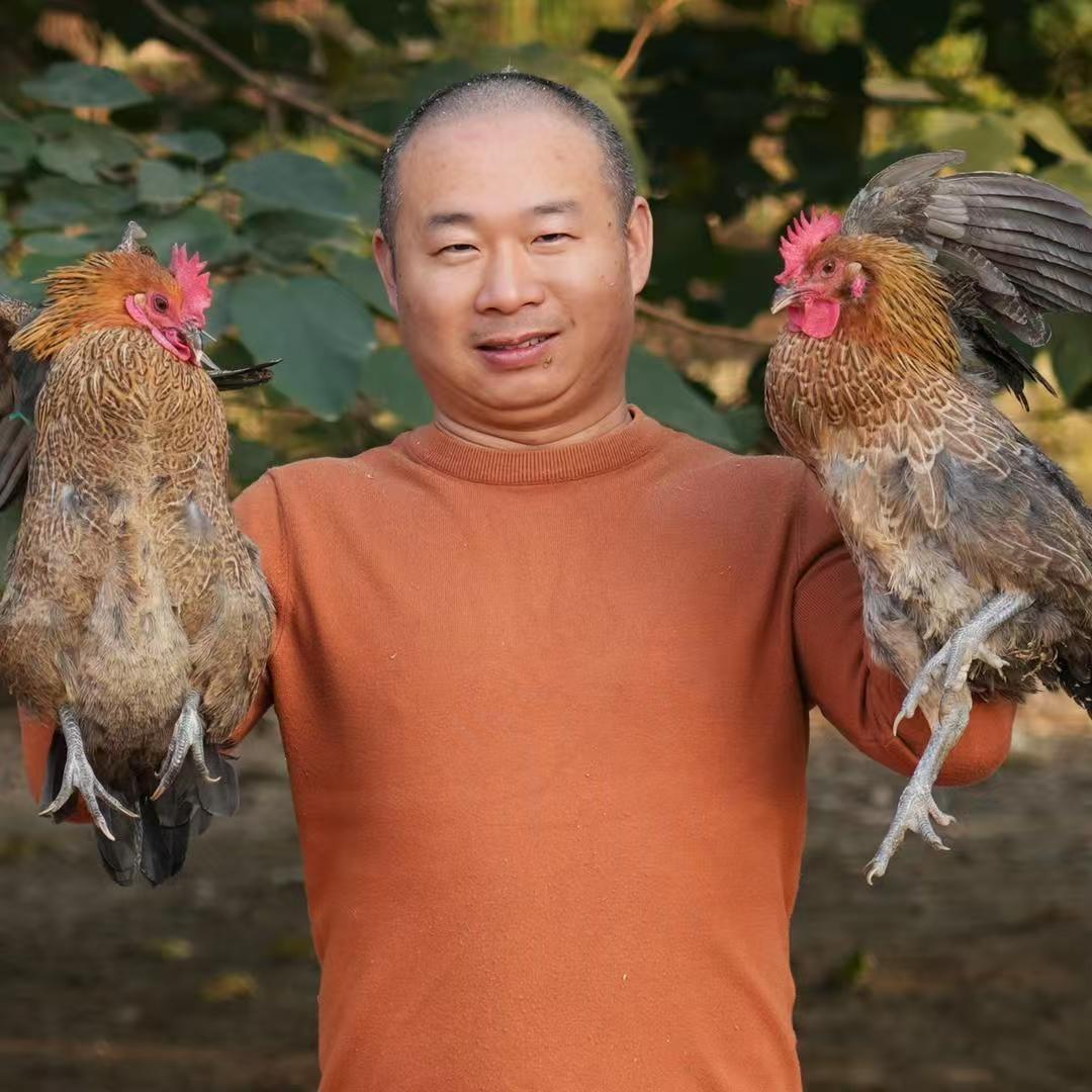 元松优选