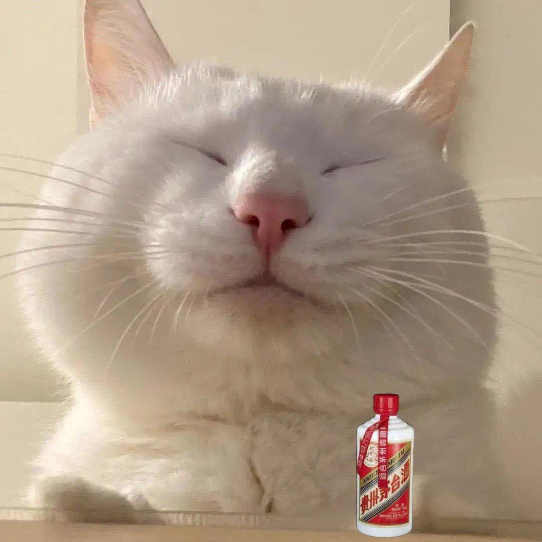 猫神十一