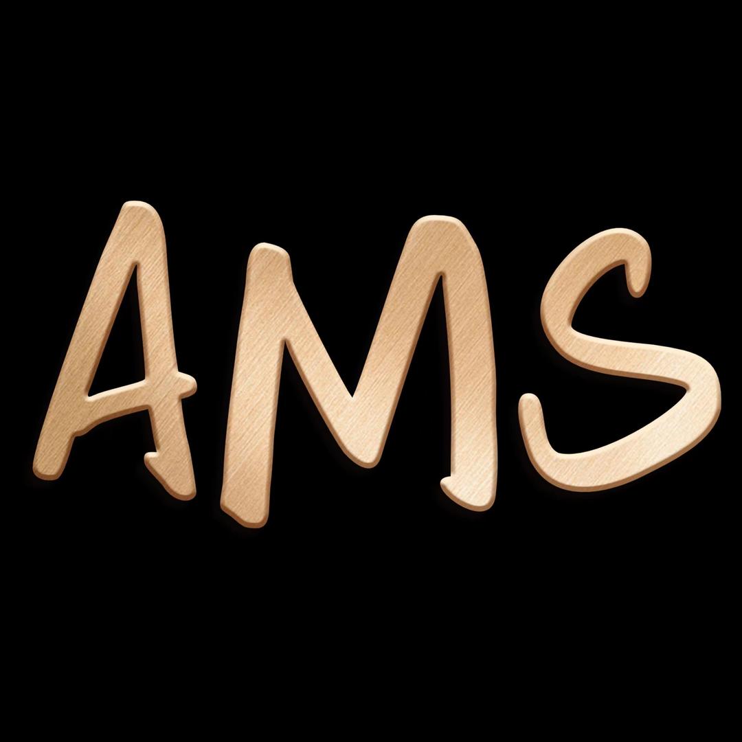 AMS高级定制