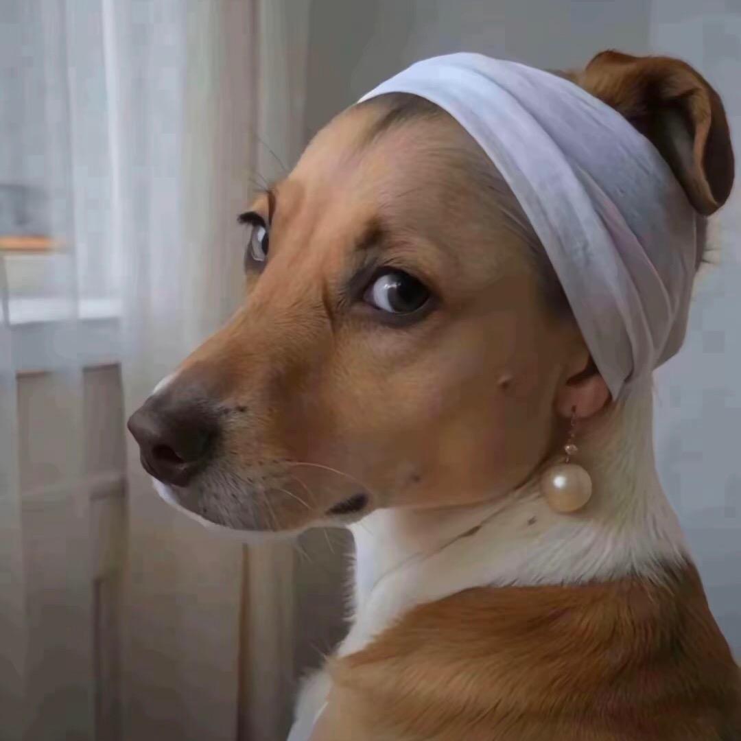 朕玉