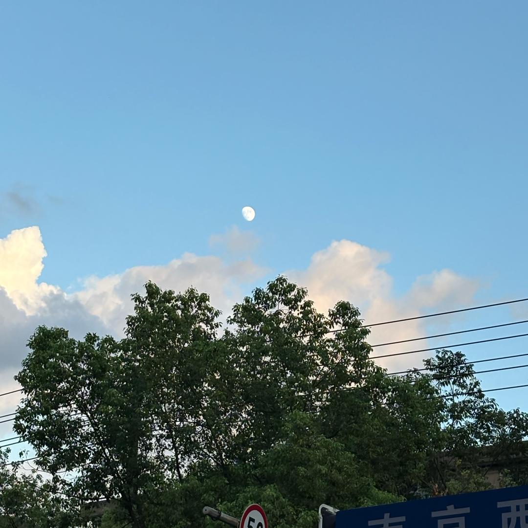 罗小妮
