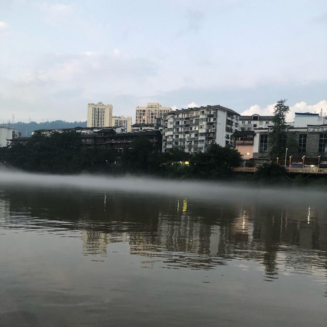 露露