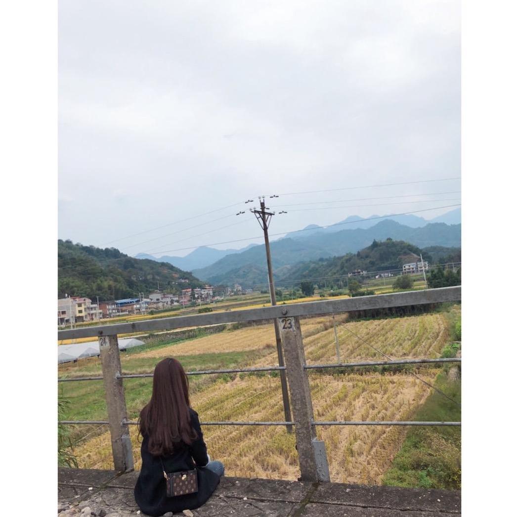 半斤猪屎.