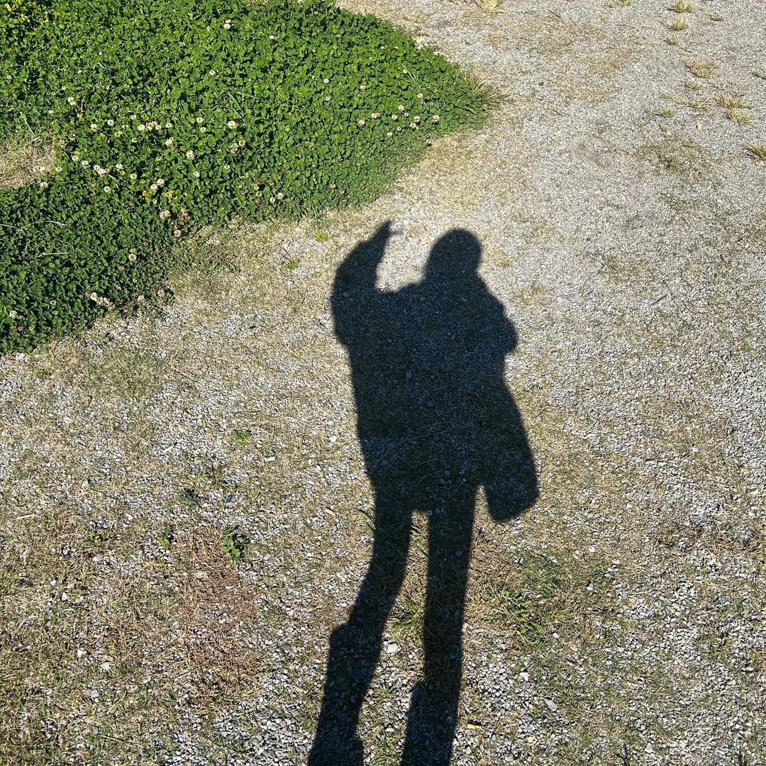 Yyyyy