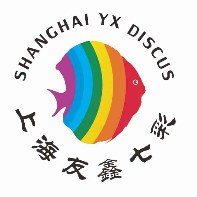友鑫七彩神仙鱼