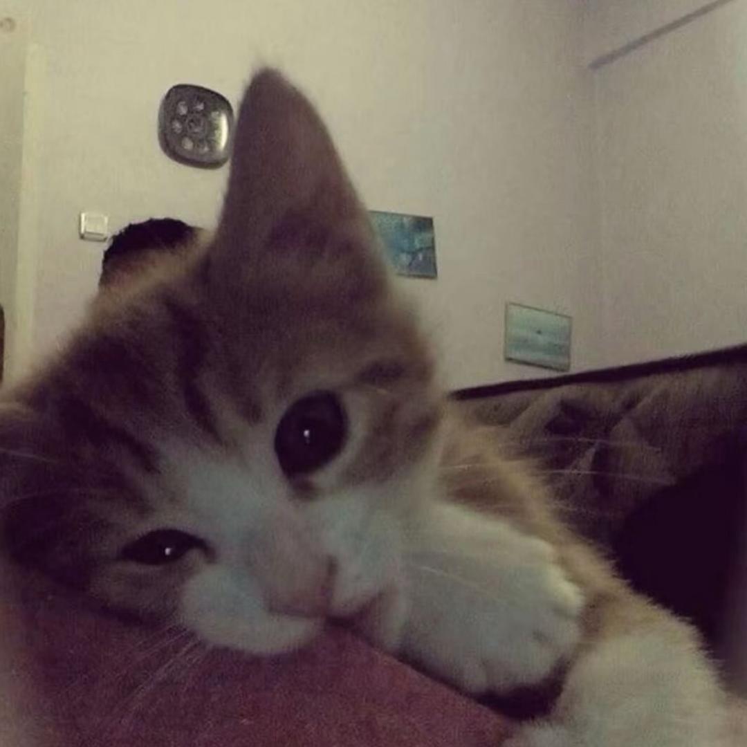 Kilmiss