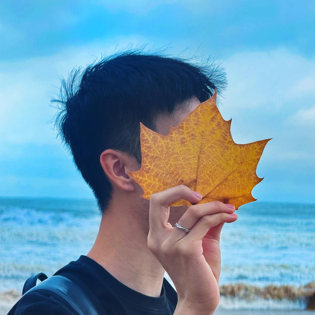 打小爱吃锅包肉