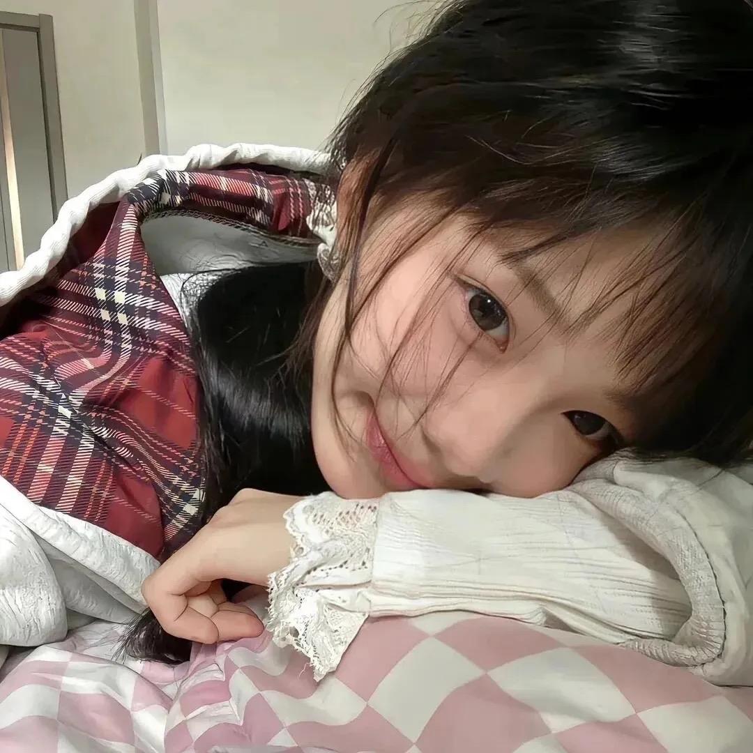 巷子里的猫。