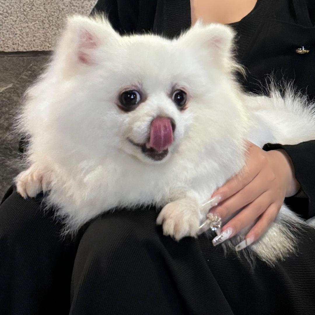 麻辣爱潮玩