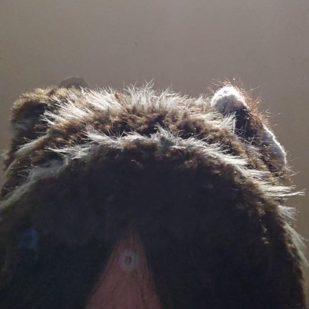 上天给了我个蔓越莓