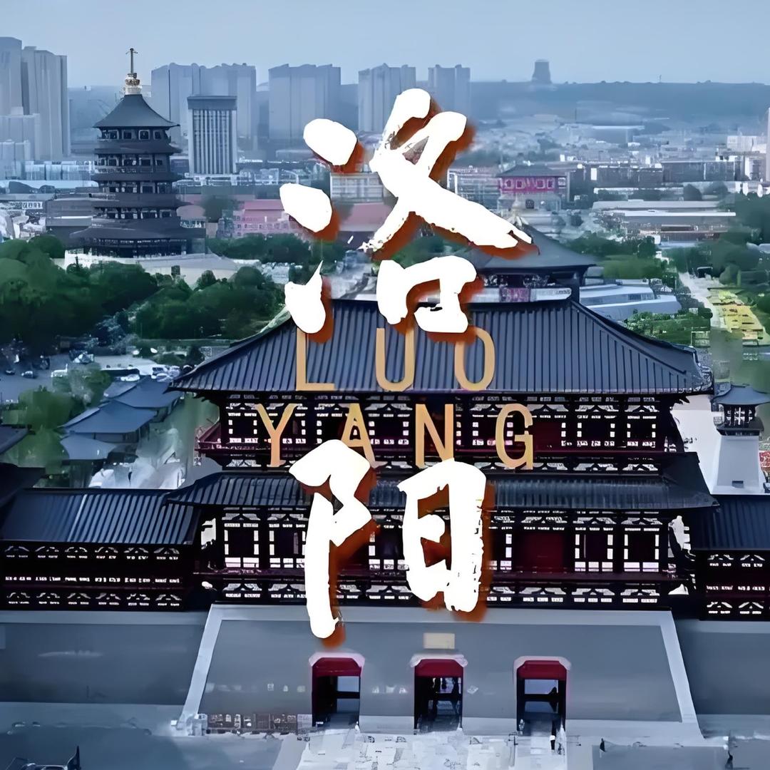 老君山一日游报团直播