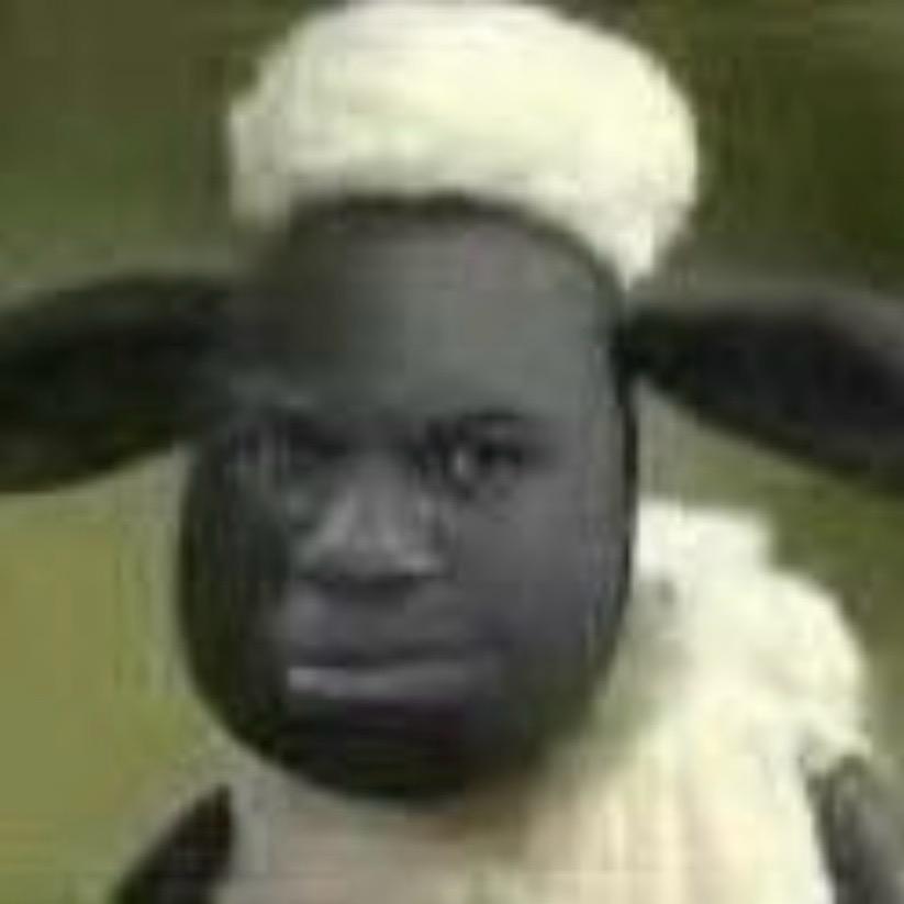 小羊肖恩(三角洲行动)