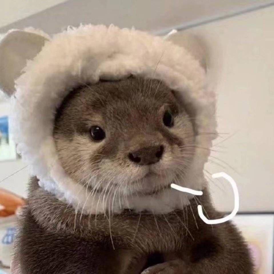 哪有小孩天天哭🌈