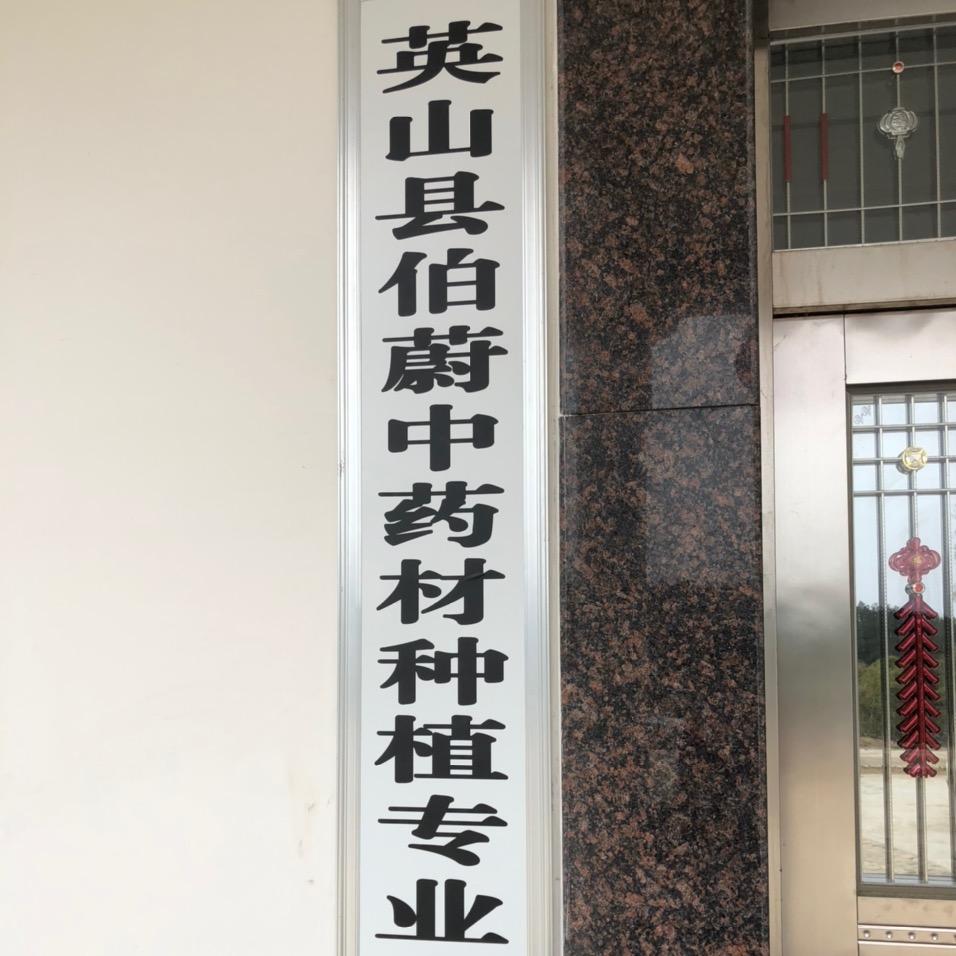 大别山道地中药材
