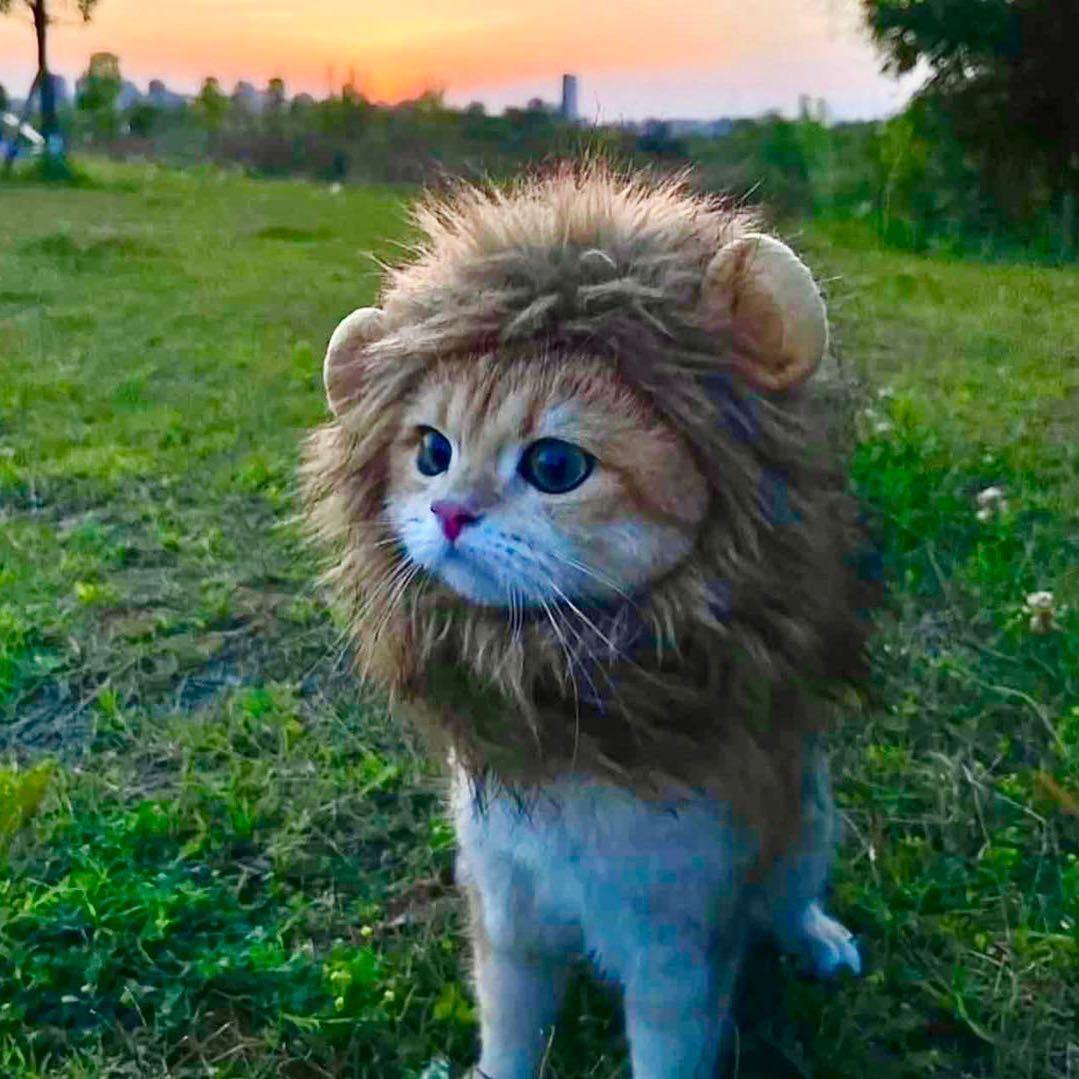 雪宸运动户外专营店