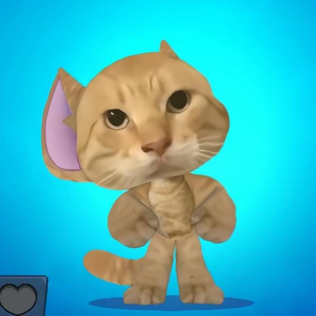 小小猫