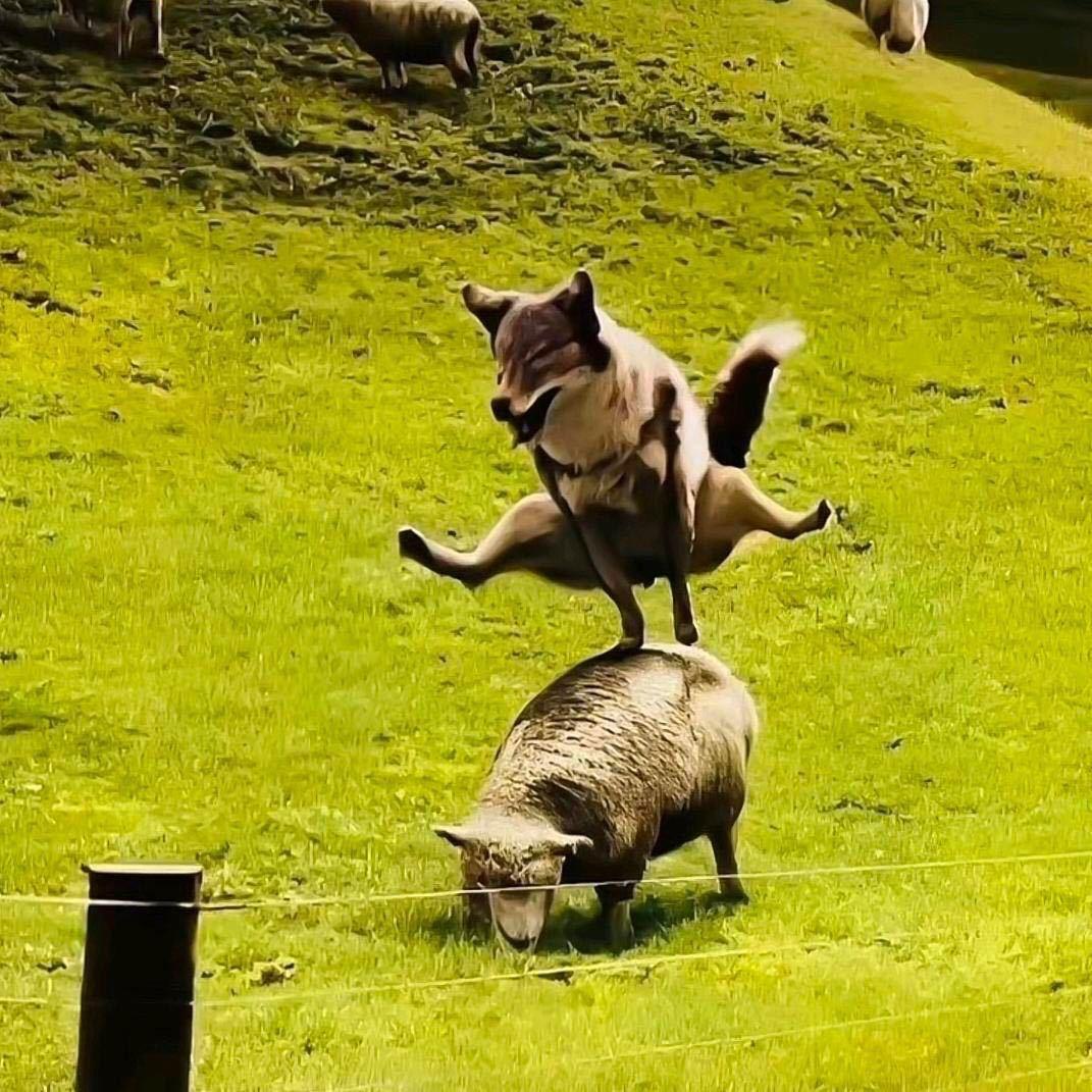 让我讲两句