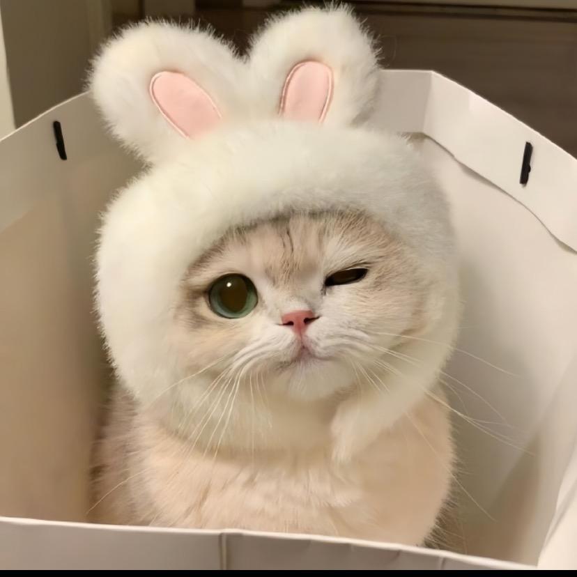 叮当猫～