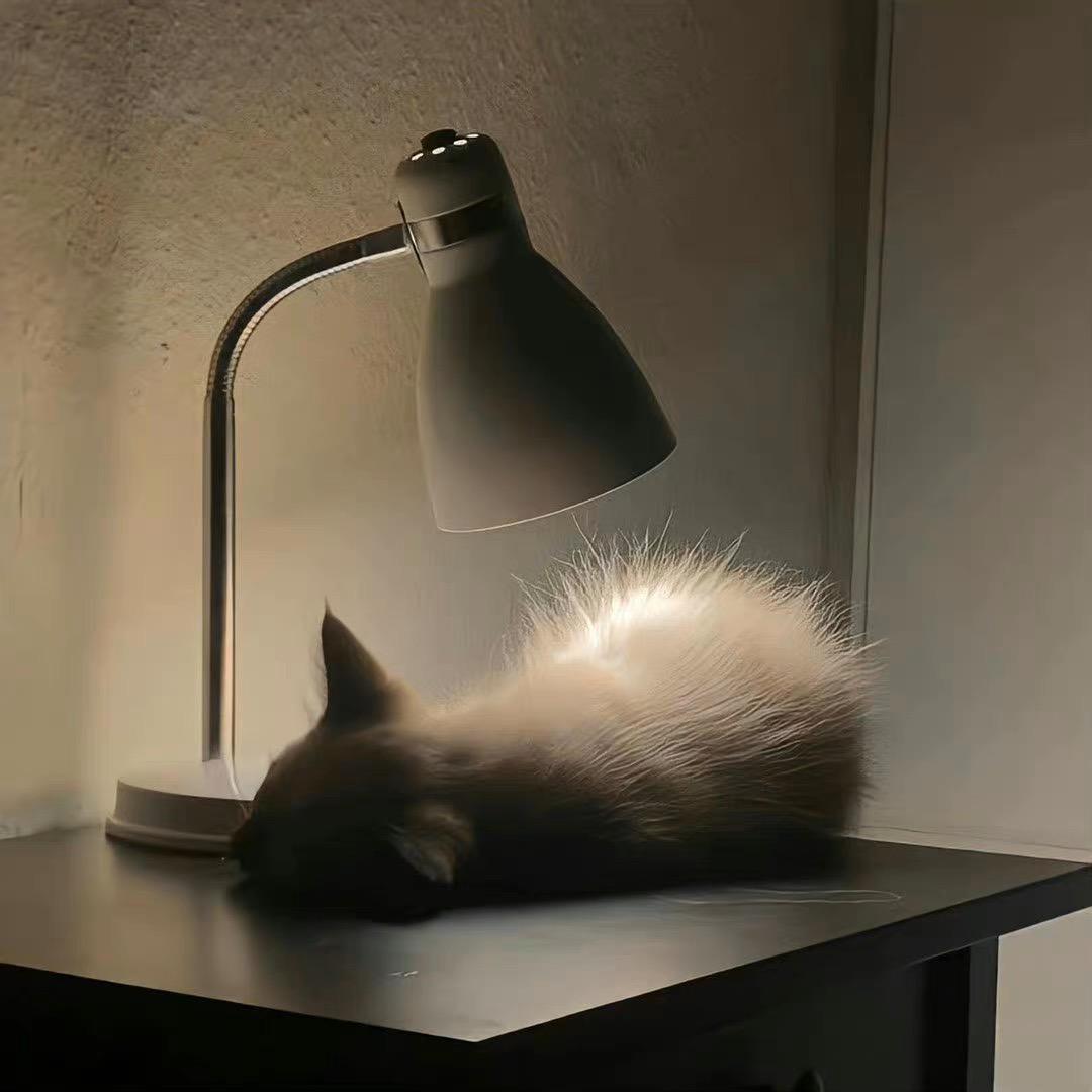 偏我来时不逢春