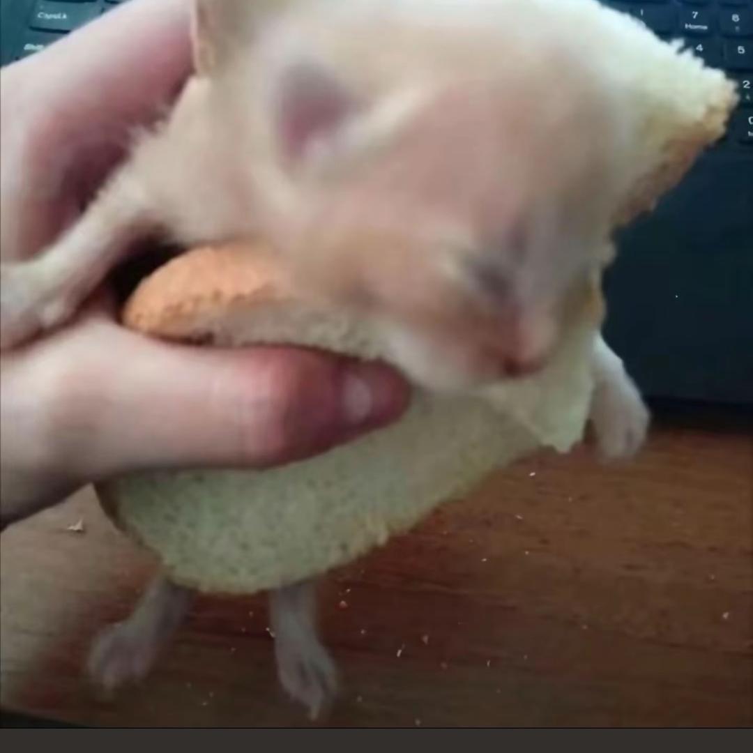 汀汀一闪_