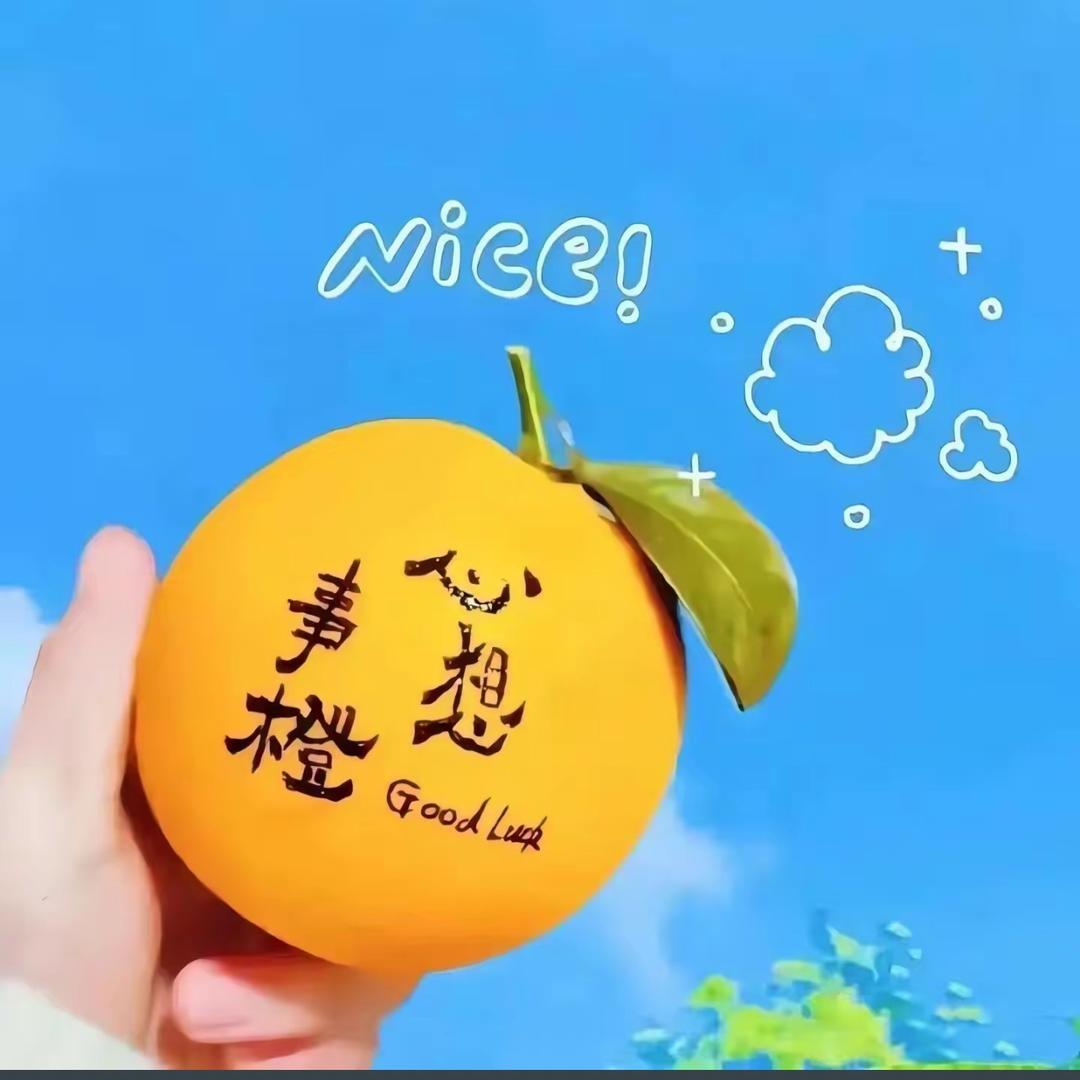 🌈乐～迪🌈