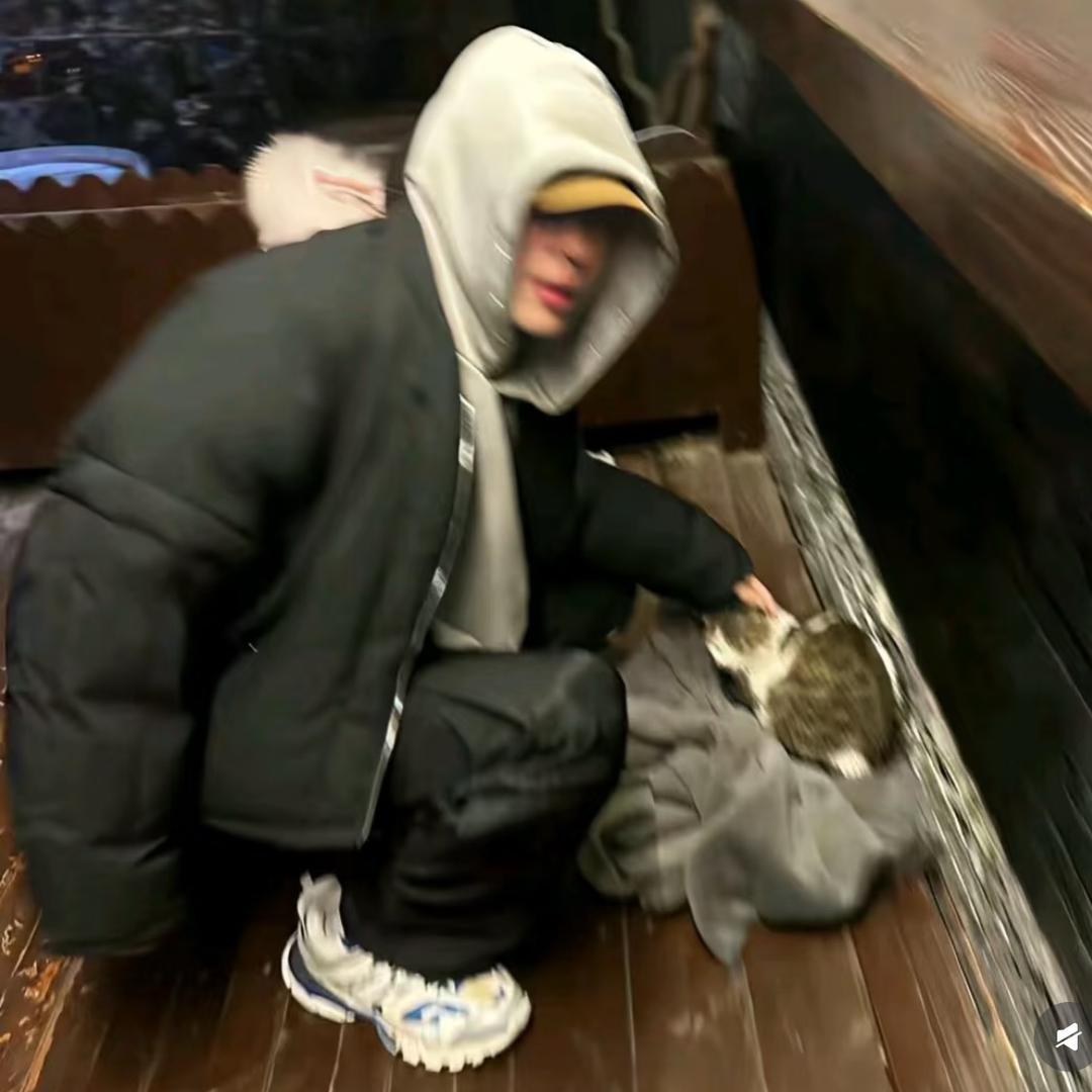 不知树名