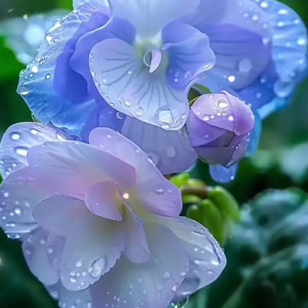 🌺阳光好温柔🌺