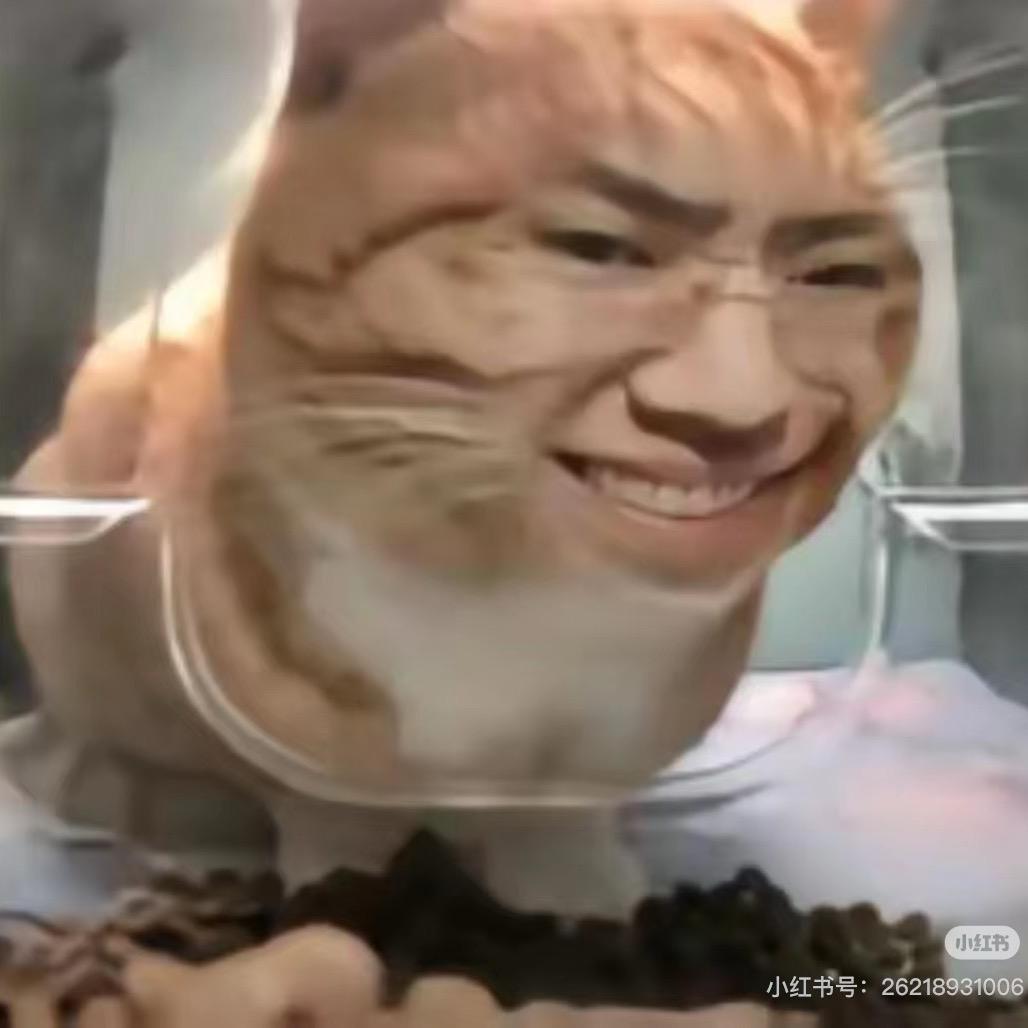 🌈不喝乌龙茶