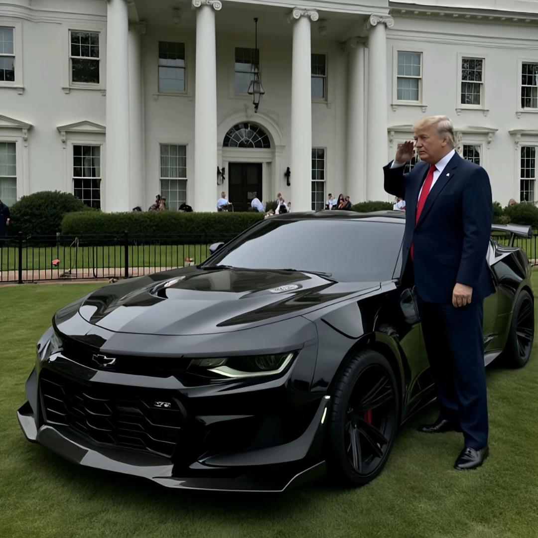 呆 龙🐲（125）