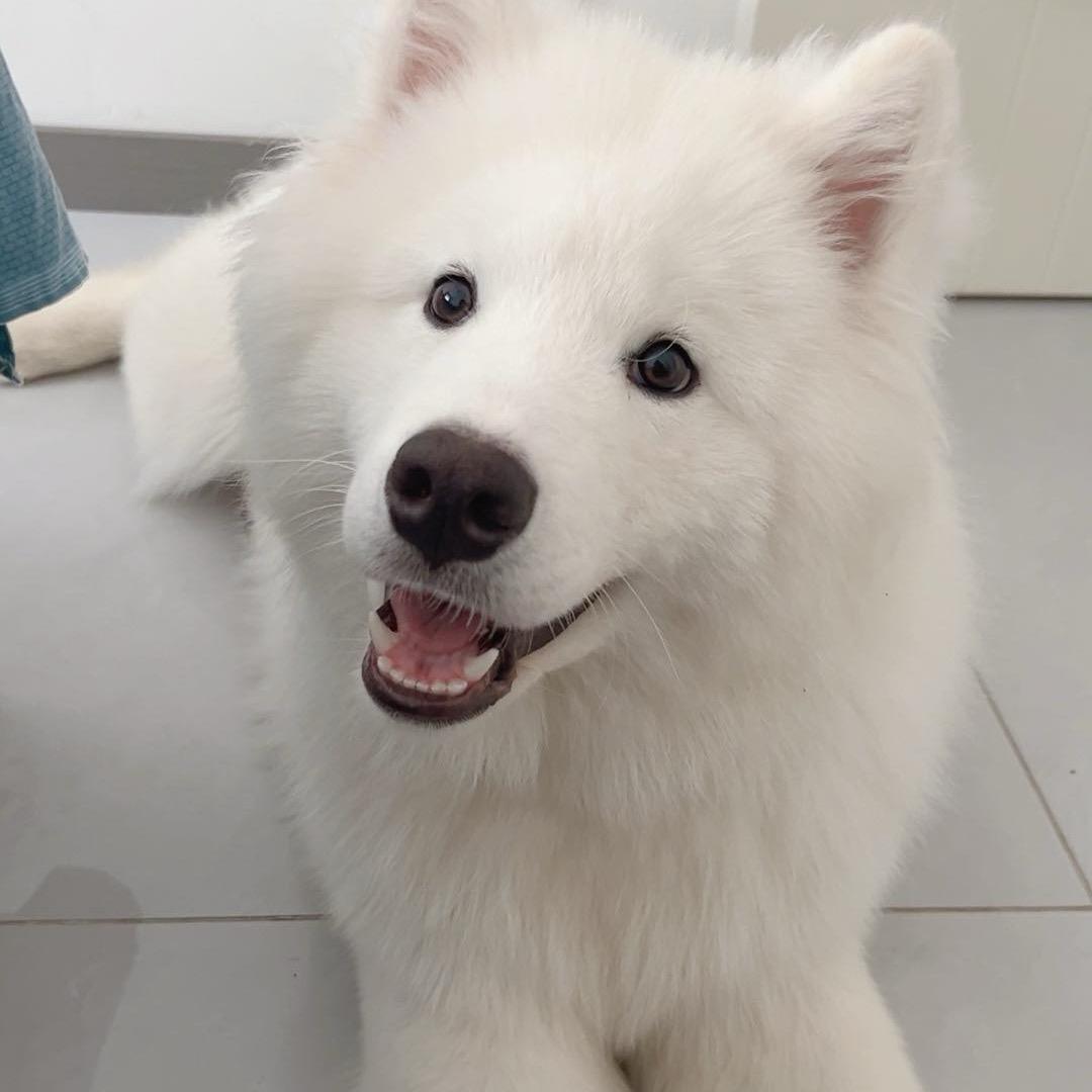 😀