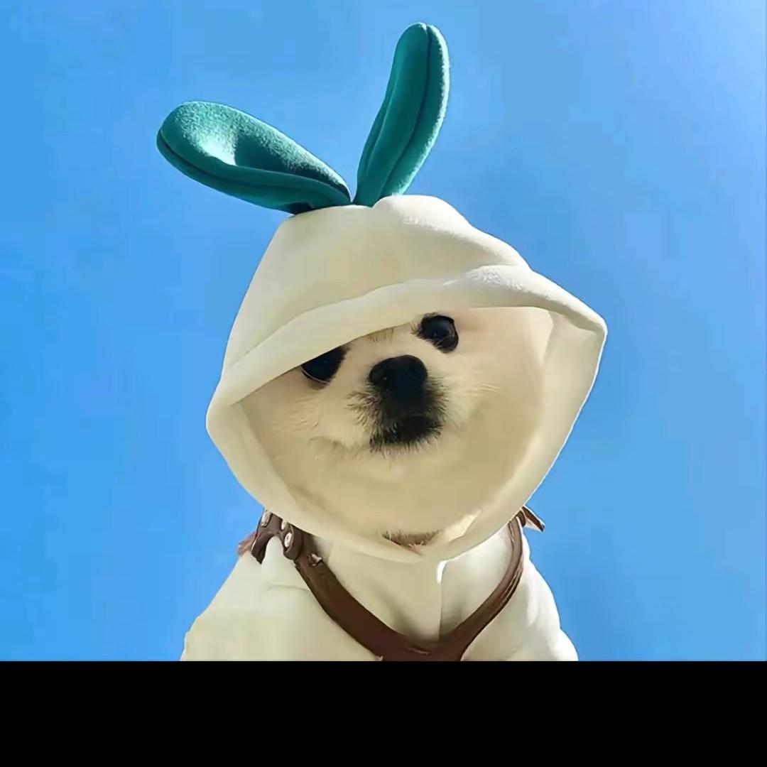 聚辽