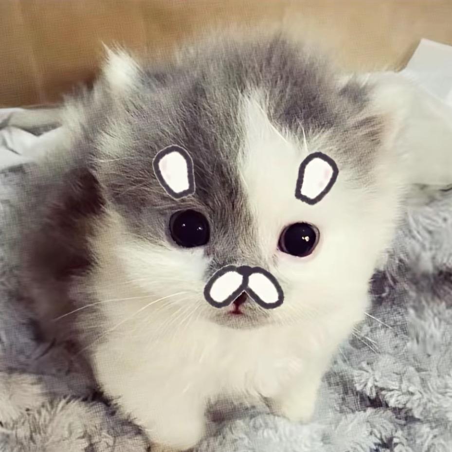 双兔傍地走安能辨我是萨奇🐰