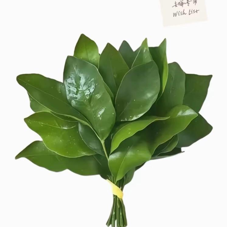 一岁一枯荣