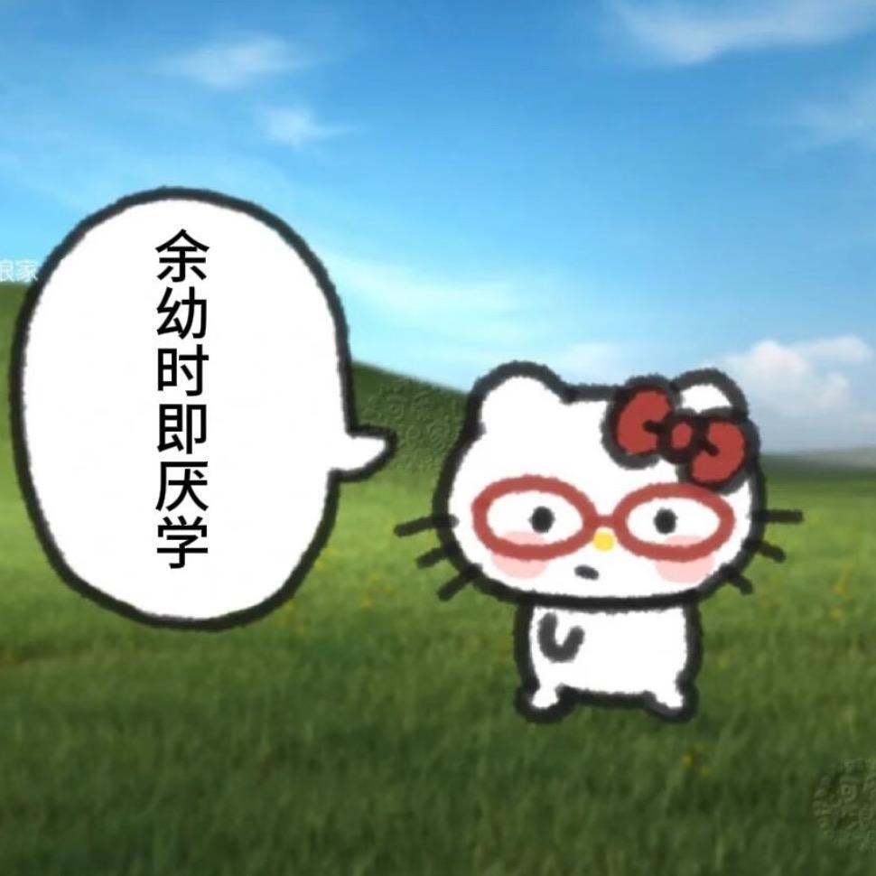 bingo女王